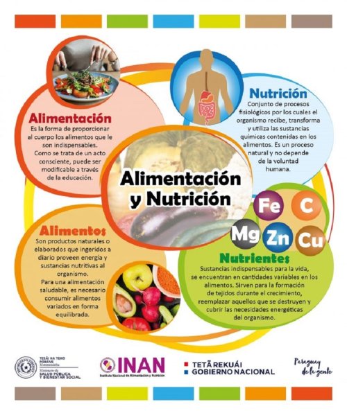 Alimentación, alimentos, nutrición y nutrientes: diferencias clave para cuidar tu salud